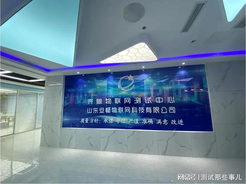 軟件測試工作流程與外包服務管理